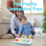 Montessori Pop Up Toy